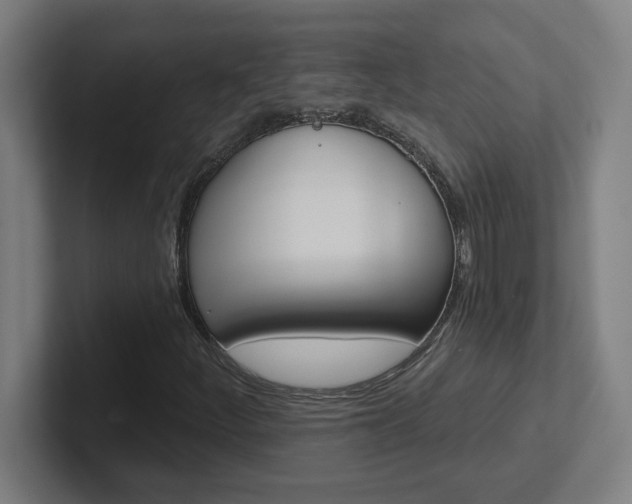 X0000102401252200808010948