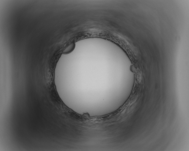 X0000102401253200808010948
