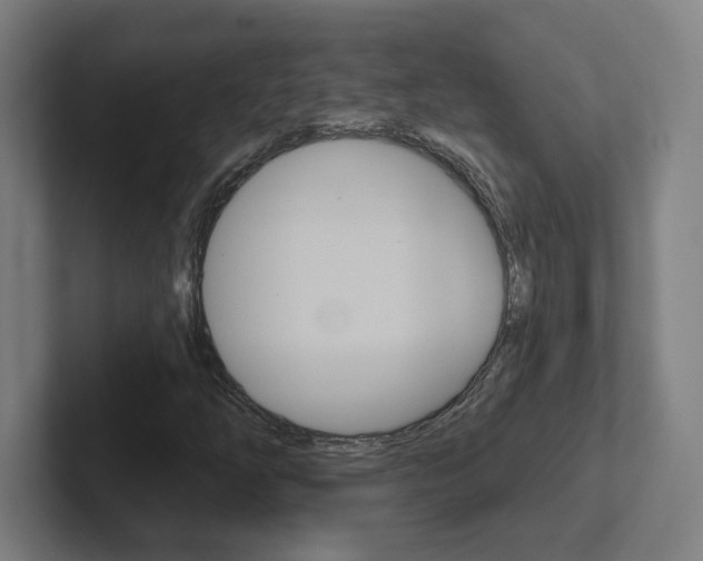 X0000102401254200808010948