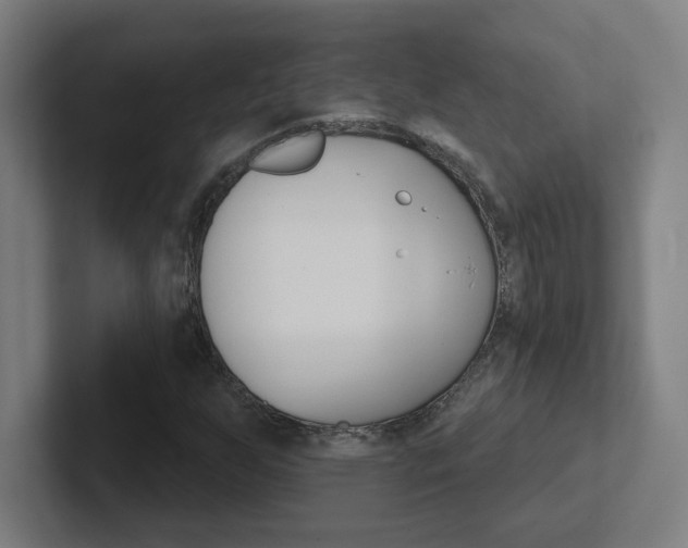 X0000102401255200808010948