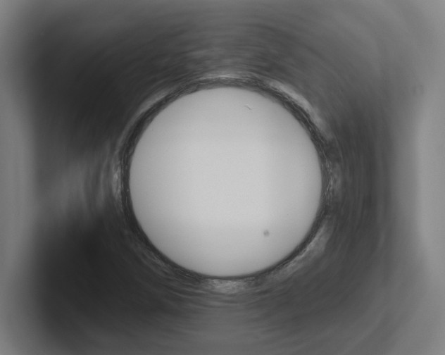 X0000102401258200808010948
