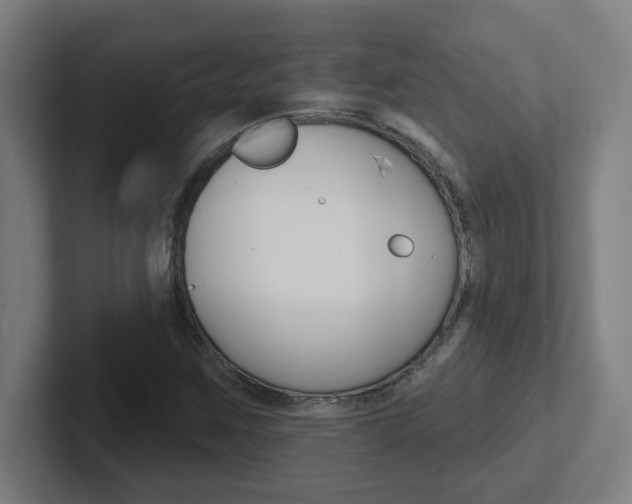 X0000102401259200808010948