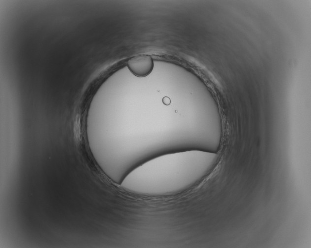 X0000102401262200808010948