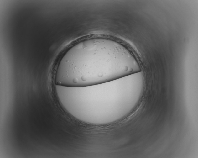 X0000102401263200808010948