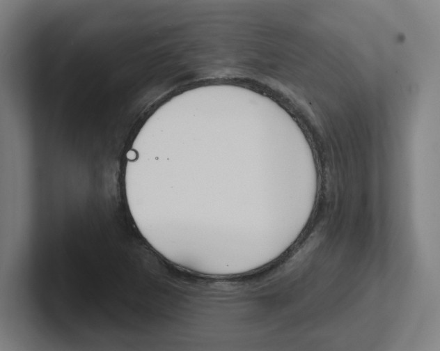 X0000102401265200808010947