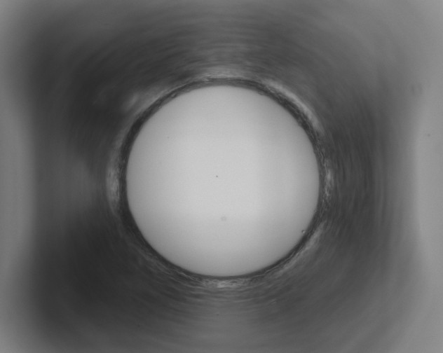X0000102401266200808010947