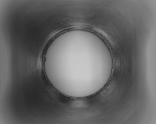 X0000102401267200808010947