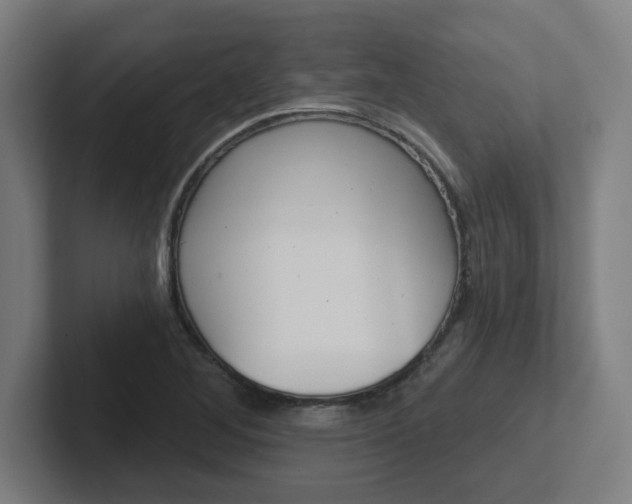 X0000102401268200808010947