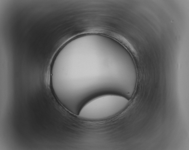 X0000102401276200808010947