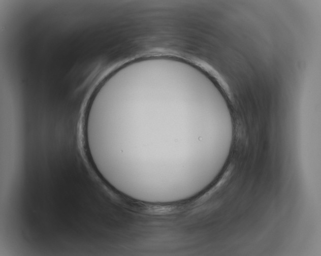 X0000102401278200808010947