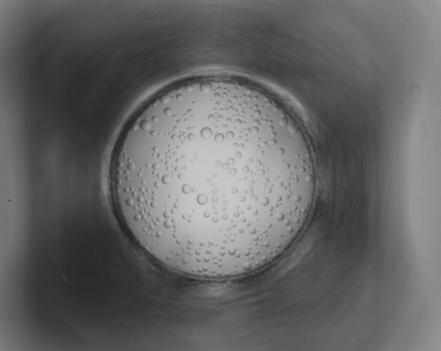 X0000102401279200808010947