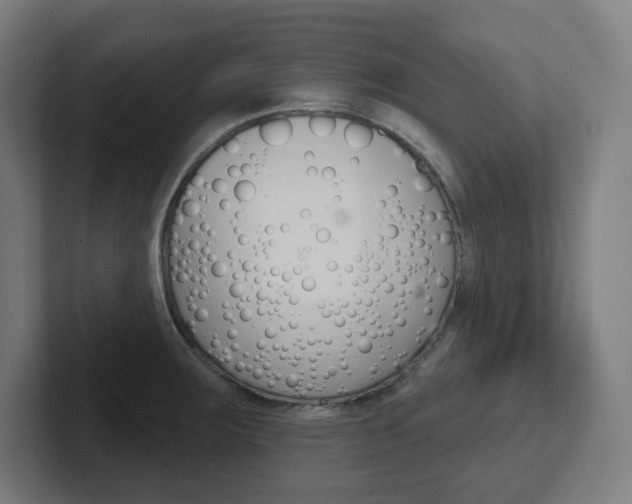 X0000102401283200808010947