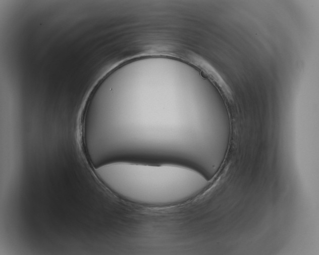 X0000102401284200808010947