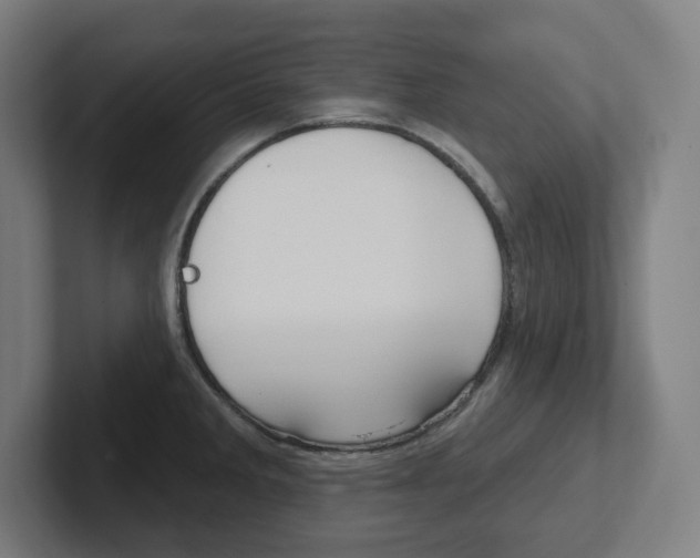 X0000102401285200808010947