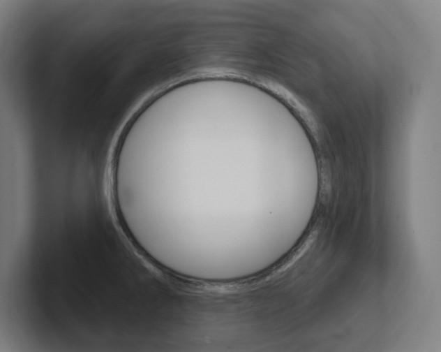 X0000102401286200808010947