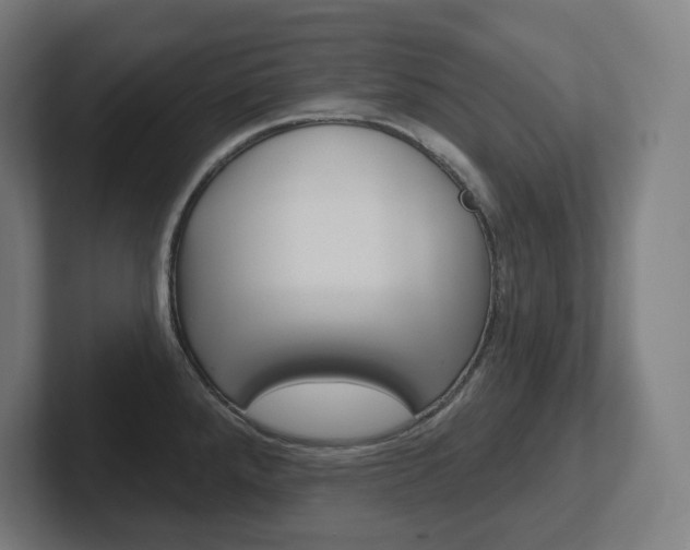 X0000102401288200808010947
