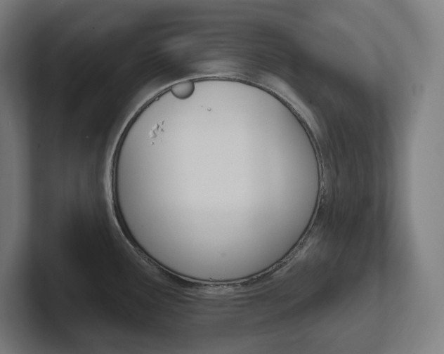 X0000102401291200808010947