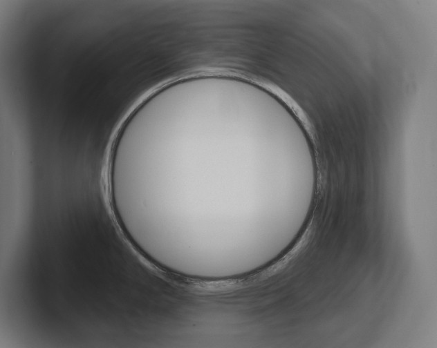 X0000102401294200808010947
