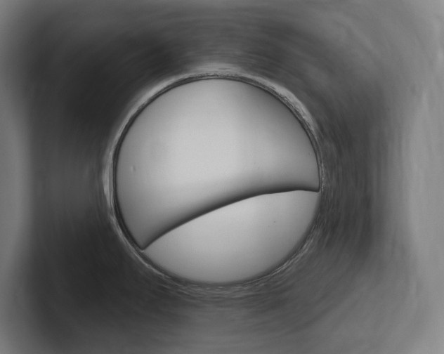X0000102401295200808010947