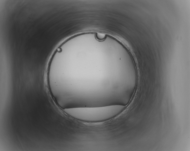 X0000102401296200808010947