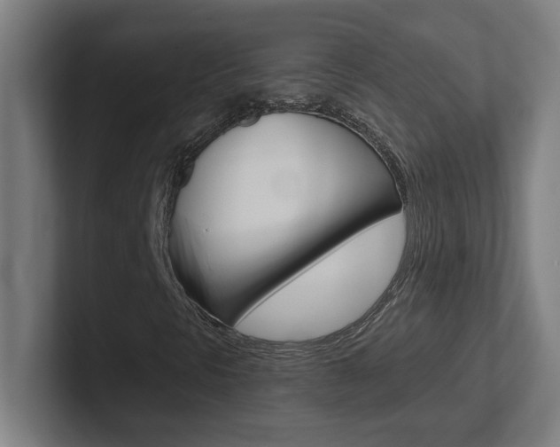 X0000102401297200808010946