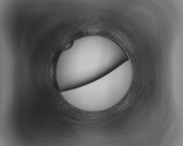 X0000102401299200808010946