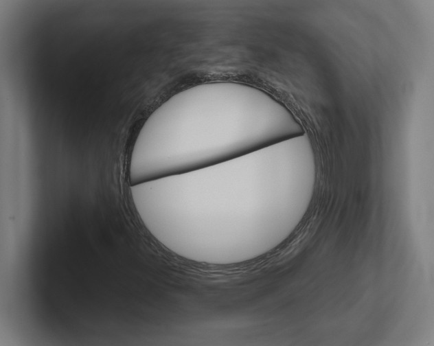 X0000102401300200808010946