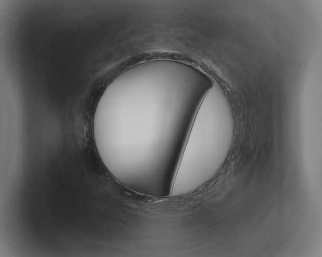 X0000102401303200808010946
