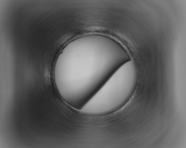 X0000102401305200808010946