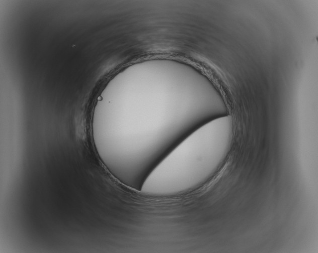 X0000102401306200808010946