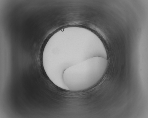 X0000102401308200808010946