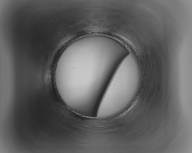 X0000102401309200808010946