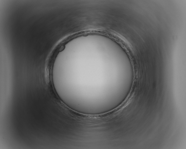 X0000102401310200808010946