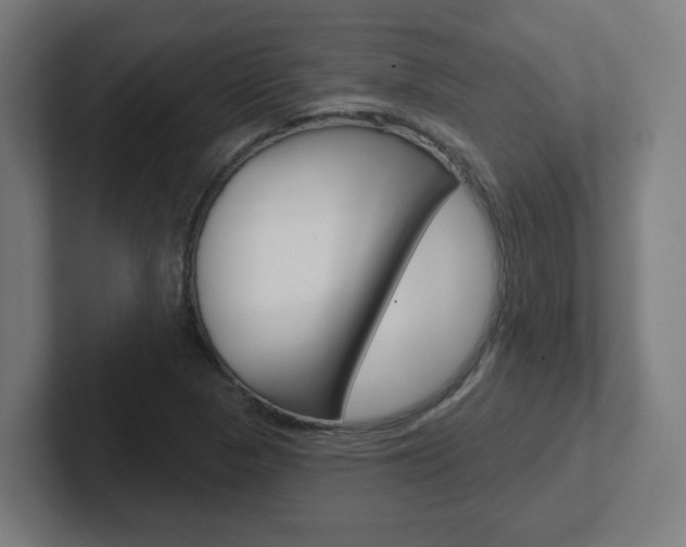 X0000102401313200808010947