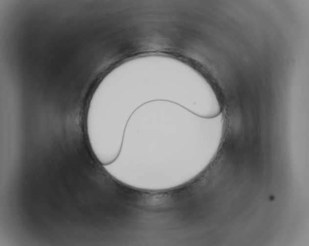 X0000102401314200808010947