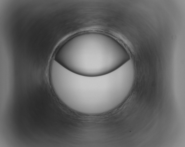 X0000102401316200808010947