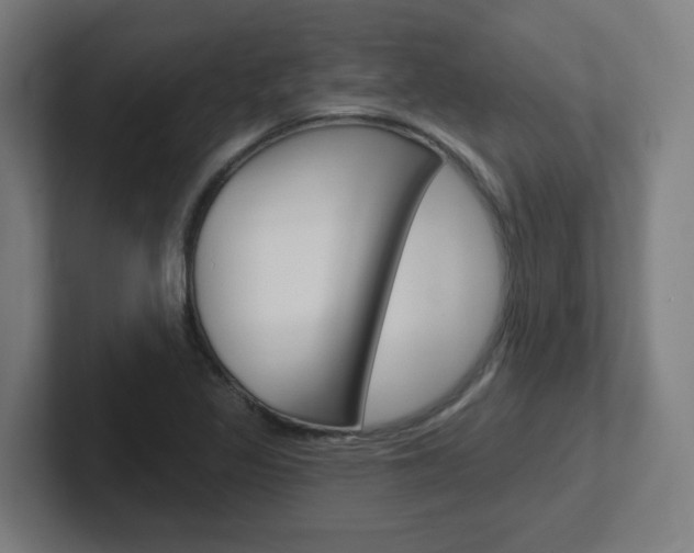 X0000102401317200808010947