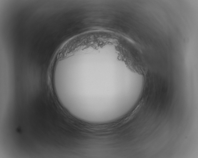 X0000102401318200808010947