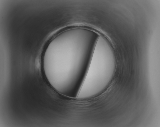 X0000102401319200808010947