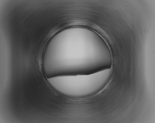 X0000102401321200808010947