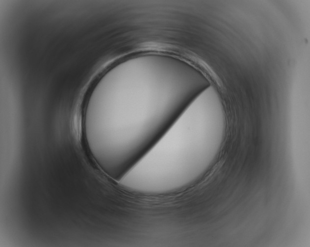X0000102401323200808010947