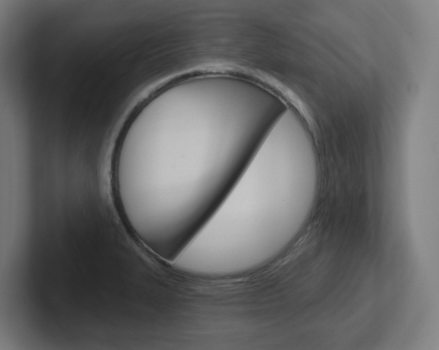 X0000102401327200808010947