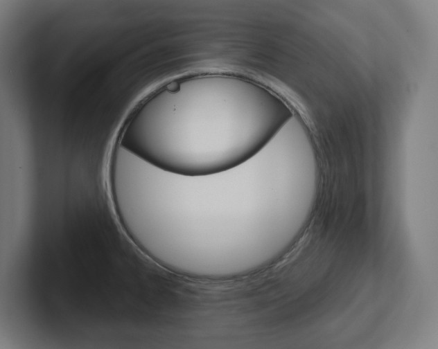 X0000102401334200808010947