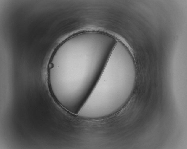 X0000102401335200808010947