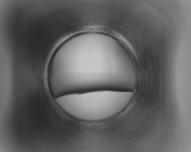 X0000102401336200808010947