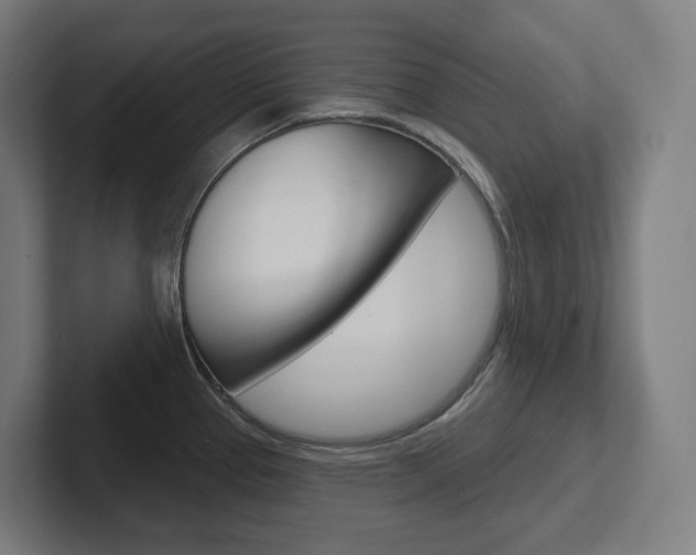 X0000102401337200808010947