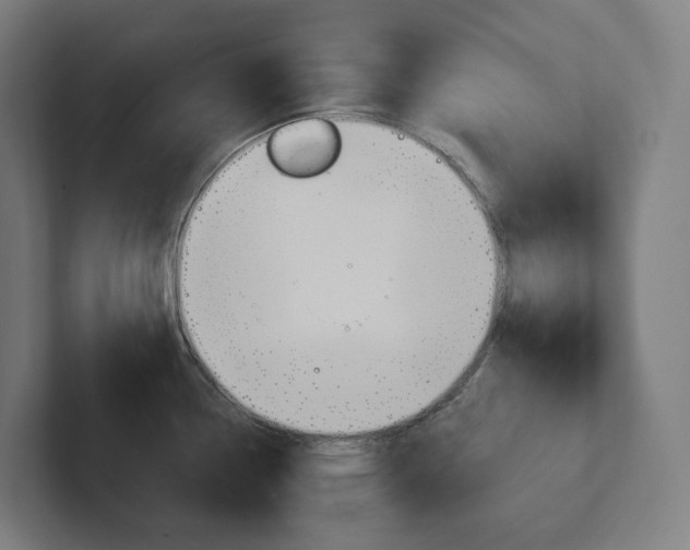 X0000102401338200808010947