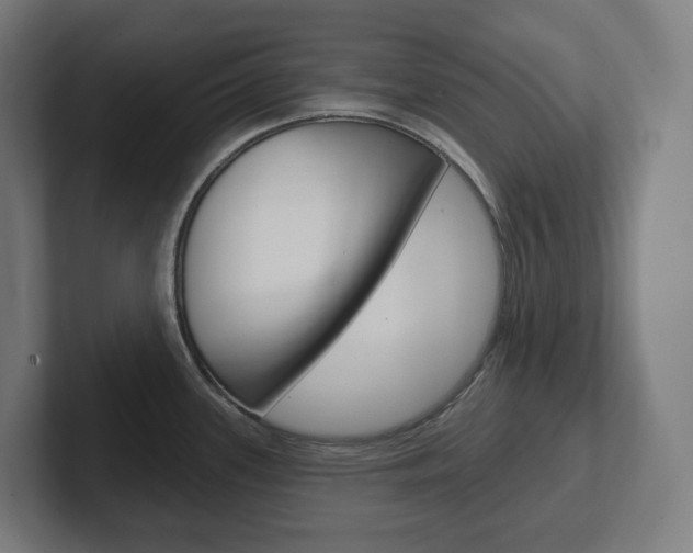 X0000102401339200808010947