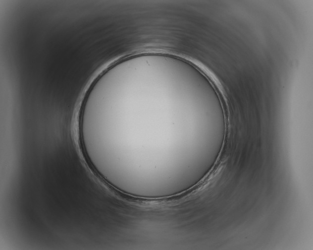 X0000102401341200808010947