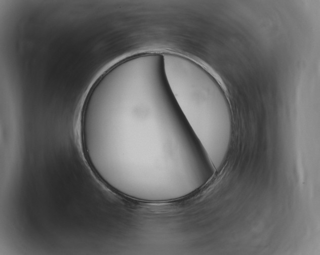 X0000102401343200808010947